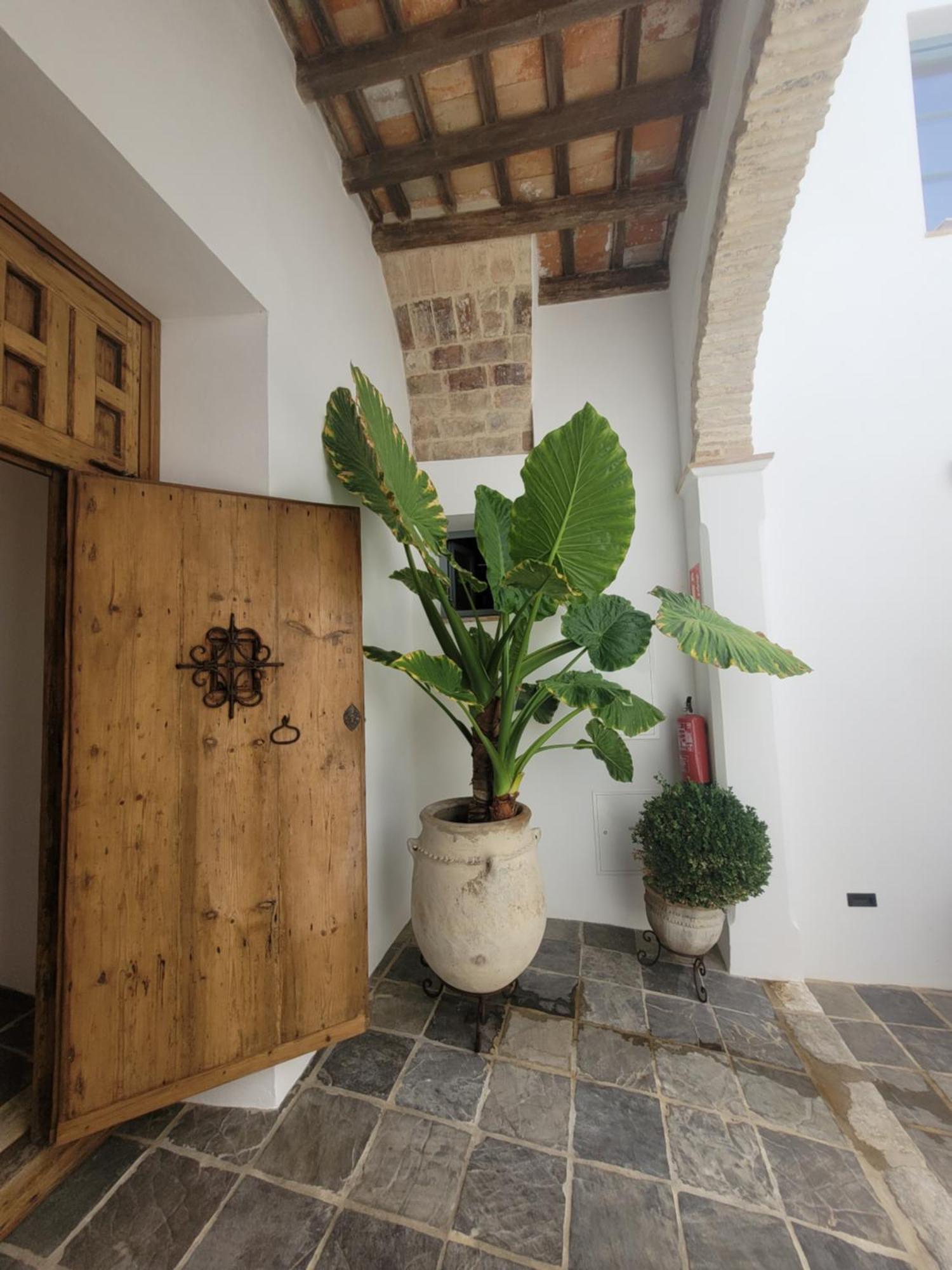 メディナ＝シドニアCasa Del Museo - Aguaアパートメント エクステリア 写真